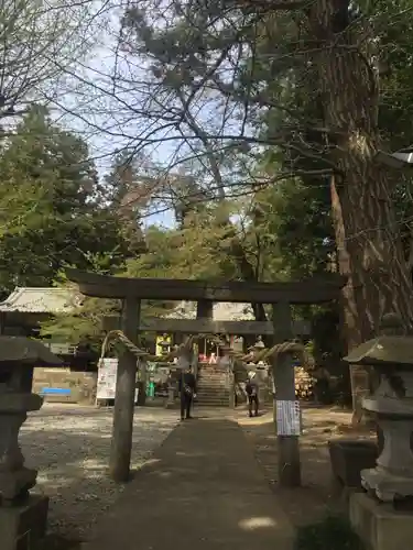 下野 星宮神社の鳥居