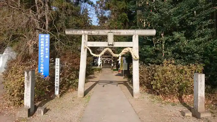 下野 星宮神社の鳥居