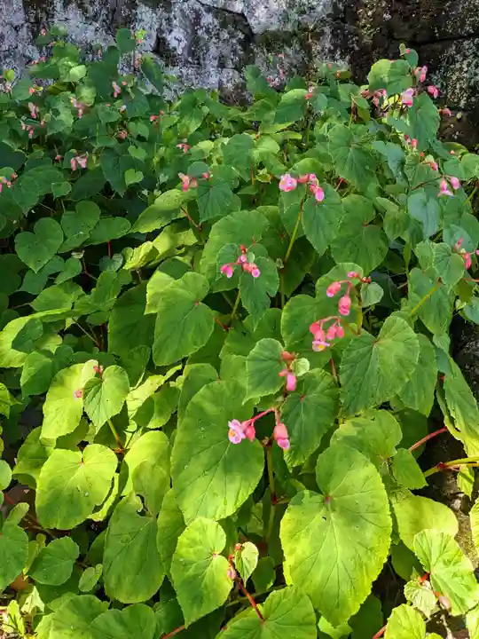 妙義神社(群馬県)