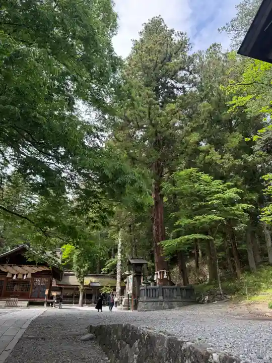 諏訪大社下社春宮(長野県)