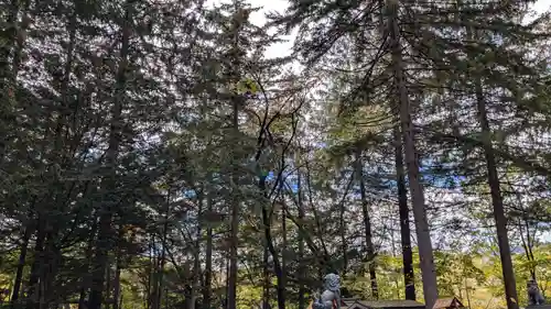 占冠神社の自然