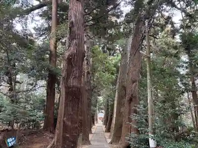日吉神社(千葉県)