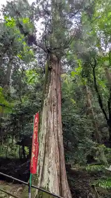 與喜天満神社(奈良県)