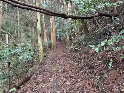 多祁伊奈太岐佐耶布都神社(広島県)
