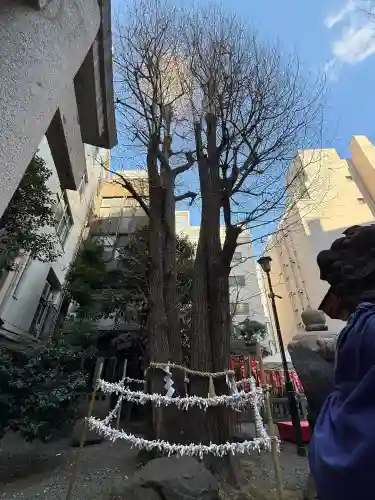 日本橋日枝神社の{uncategorized: "未分類", other: "その他", undefined: "問題あり", building: "その他建物", grave: "お墓", sacred_gate: "鳥居", guardian: "狛犬", statue: "像", buddha: "仏像", history: "歴史", nature: "自然", garden: "庭園", animal: "動物", pagoda: "塔", temizu: "手水舎", mountain_gate: "山門・神門", sanctuary: "本殿・本堂", subordinate: "末社・摂社", art: "芸術", scenery: "景色", jizo: "地蔵", ema: "絵馬", goshuin: "御朱印", omikuji: "おみくじ", items: "授与品その他", amulet: "お守り", goshuincho: "御朱印帳", eats: "食事", festival: "お祭り", votive_dance: "神楽", shichigosan: "七五三参", wedding: "結婚式", experience: "体験その他", initially: "初詣", around: "周辺", anti_infection: "感染症対策"}