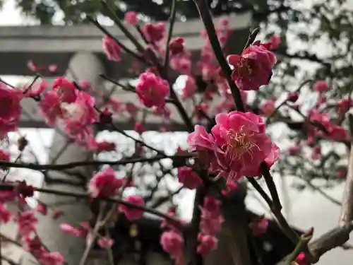 北野神社の自然