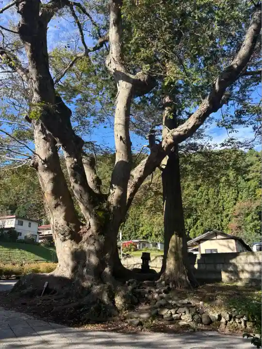 諏訪大社上社前宮(長野県)