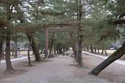 出雲大社(島根県)