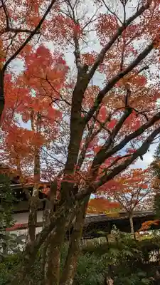 光悦寺(京都府)