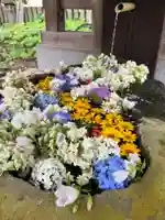 飯笠山神社(長野県)