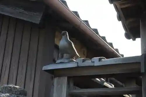 愛宕神社(滋賀県)