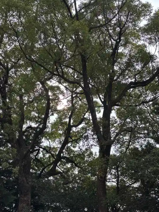 成石神社(愛知県)
