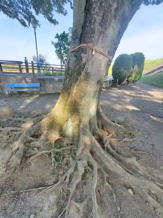 虚空蔵尊(群馬県)