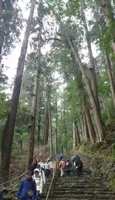 飛瀧神社(熊野那智大社別宮)(和歌山県)