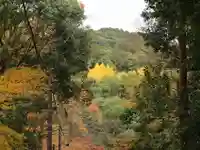 今熊野観音寺の自然