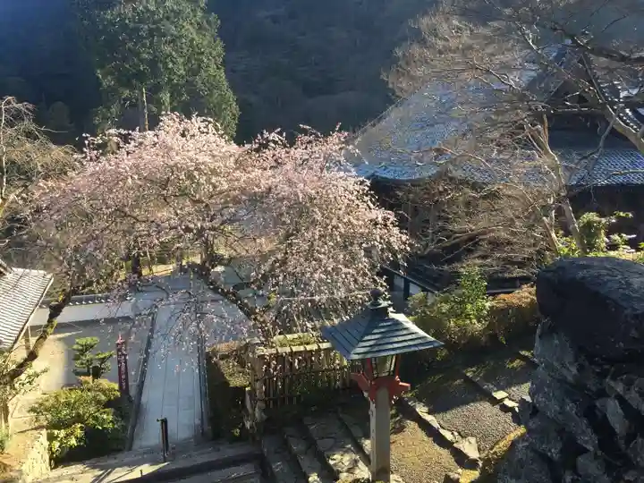 善峯寺のその他建物