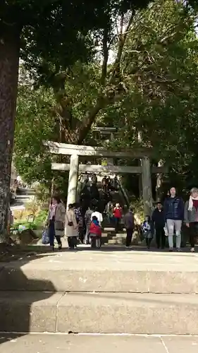 伊豆山神社の鳥居