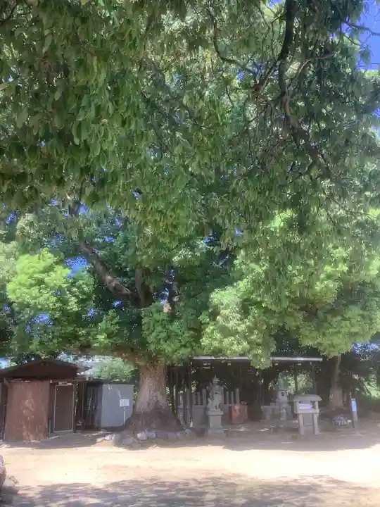 桃山八幡社の庭園
