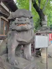 香取神社の狛犬