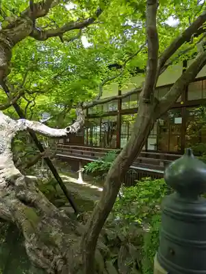 禅林寺(永観堂)(京都府)
