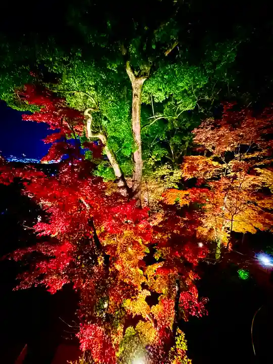 宝満宮竈門神社の自然
