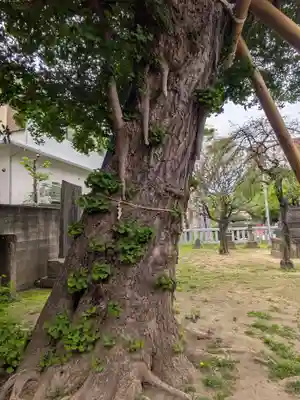 岩淵八雲神社(東京都)