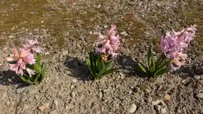 極楽寺の自然