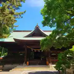 浜松八幡宮の本殿