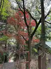 諏訪春日神社(山梨県)