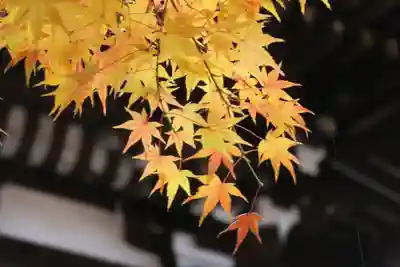 大報恩寺（千本釈迦堂）(京都府)