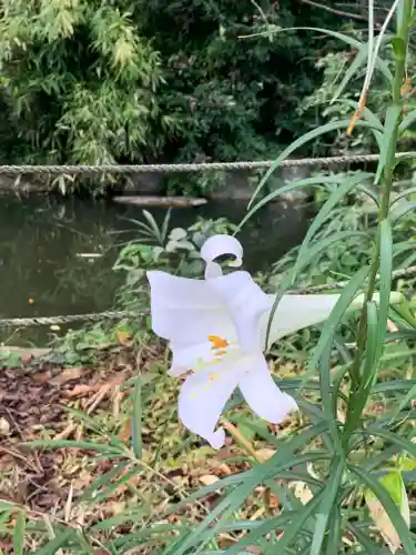 咳嗽神社のその他建物