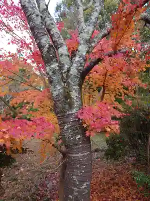 大神神社(奈良県)
