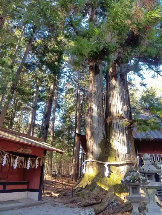 北口本宮冨士浅間神社(山梨県)