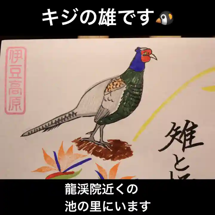 大室山龍渓院の御朱印