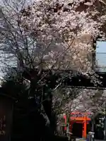 赤城神社の自然