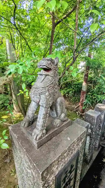 須賀神社の狛犬