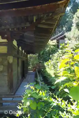 国宝 長寿寺(滋賀県)