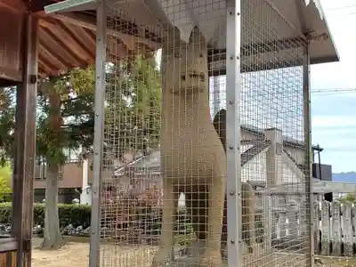 稲荷神社の狛犬