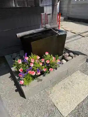上尾御嶽神社の手水舎