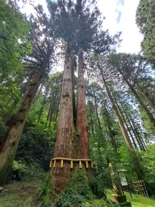御岩神社(茨城県)