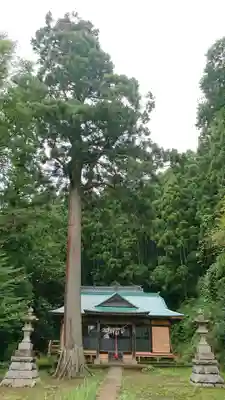 延喜式内 鹿島神社の本殿・本堂