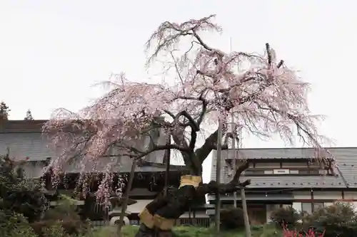 建福寺のその他建物