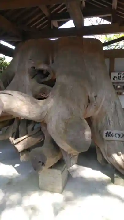 雲八幡宮の体験その他