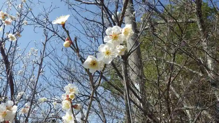 嘉川八幡宮(山口県)