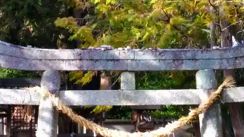 八幡宮（寺部八幡宮）の鳥居