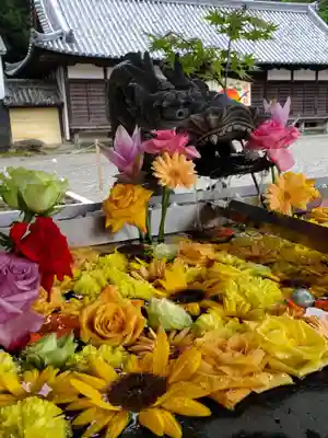 美濃國一宮　南宮大社の手水舎