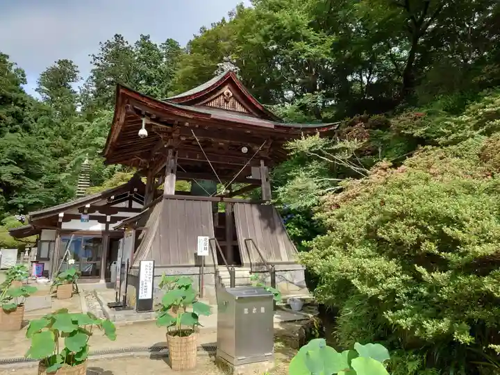 岡寺(龍蓋寺)(奈良県)