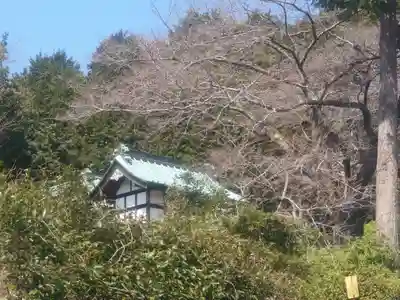 八坂神社(神奈川県)