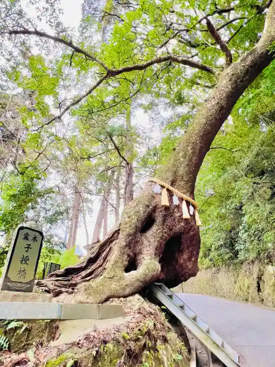 笠森寺の{uncategorized: "未分類", other: "その他", undefined: "問題あり", building: "その他建物", grave: "お墓", sacred_gate: "鳥居", guardian: "狛犬", statue: "像", buddha: "仏像", history: "歴史", nature: "自然", garden: "庭園", animal: "動物", pagoda: "塔", temizu: "手水舎", mountain_gate: "山門・神門", sanctuary: "本殿・本堂", subordinate: "末社・摂社", art: "芸術", scenery: "景色", jizo: "地蔵", ema: "絵馬", goshuin: "御朱印", omikuji: "おみくじ", items: "授与品その他", amulet: "お守り", goshuincho: "御朱印帳", eats: "食事", festival: "お祭り", votive_dance: "神楽", shichigosan: "七五三参", wedding: "結婚式", experience: "体験その他", initially: "初詣", around: "周辺", anti_infection: "感染症対策"}