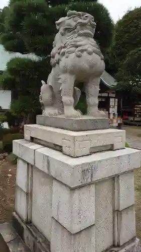 足利織姫神社の狛犬